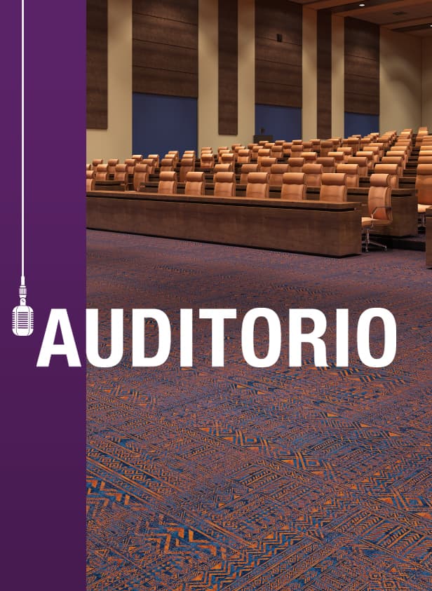 Auditorio_png_a88a9323a5