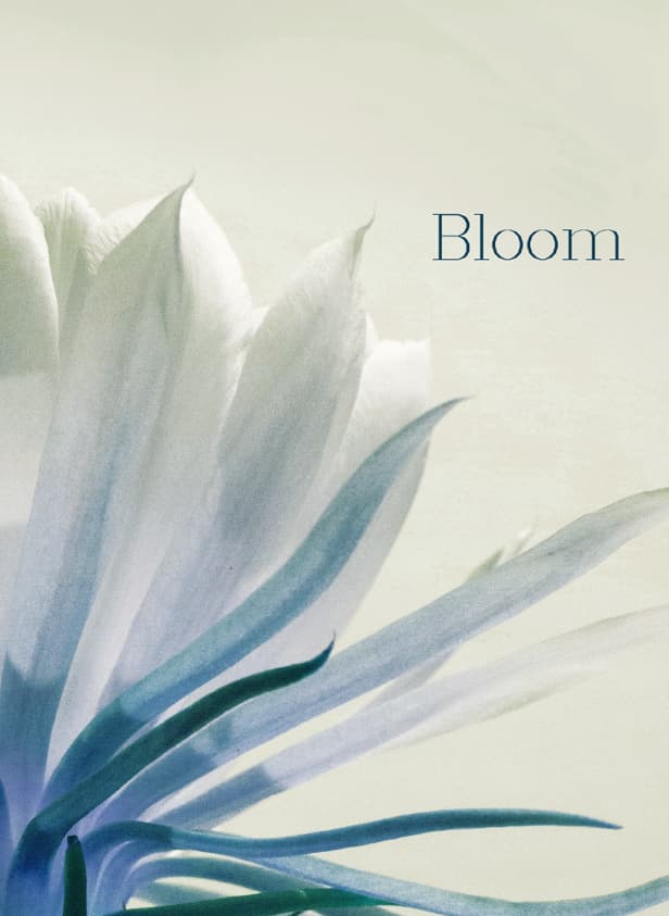 Bloom_ff21f16390